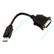 Переходник Display Port - DVI (Озеры)