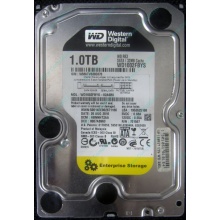 НЕРАБОЧИЙ жесткий диск 1Tb WD RE3 WD1002FBYS (Озеры)
