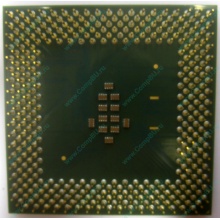 Celeron 1000A в Озерах, процессор Intel Celeron 1000 A SL5ZF (1GHz /256kb /100MHz /1.475V) s.370 (Озеры)