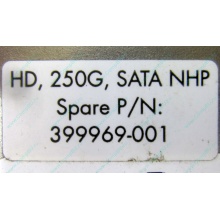 HP 250G 7.2k 432337-001/ 399699-001 / 397377-004 SATA HDD (Озеры)