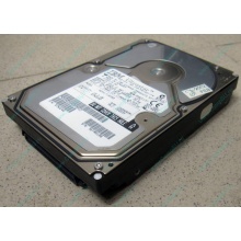 Жесткий диск 18.2Gb IBM Ultrastar DDYS-T18350 Ultra3 80 pin SCSI (Озеры)