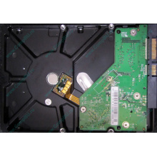 Б/У жёсткий диск 500Gb Western Digital WD5000AVVS (WD AV-GP 500 GB) 5400 rpm SATA (Озеры)
