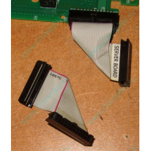 6017B0045701 Шлейф 24 pin для Intel C74974-401 T0043401-B01 корпуса SR2400 (Озеры)