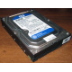 Жесткий диск 500Gb WD WD5000AAKX HP 634605-003 613208-001 7.2k SATA (Озеры)