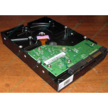 Жесткий диск 500Gb WD WD5000AAKX HP 634605-003 613208-001 7.2k SATA (Озеры)